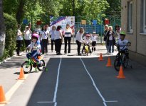 img (3)